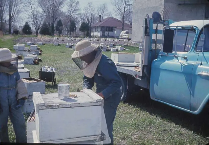 Browning’S Honey Our Apiary Our Apiary Browning's Honey