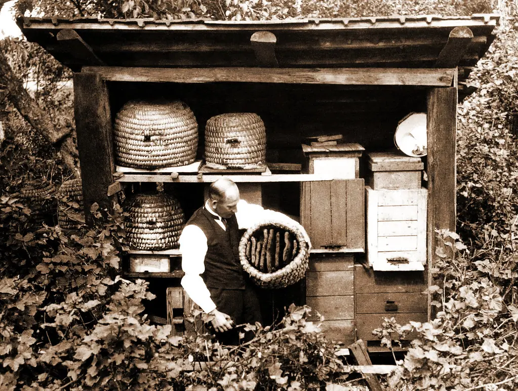 From Skeps to Superstition: Why the Old Beehive Became the Symbol of Honey
