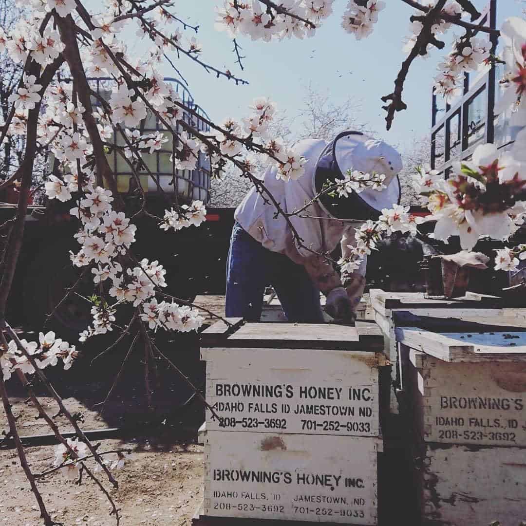 Our Story Browning's Honey