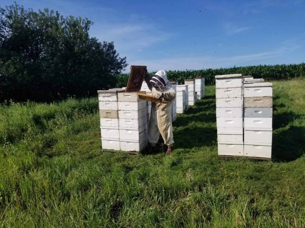 Browning's honey farm production site