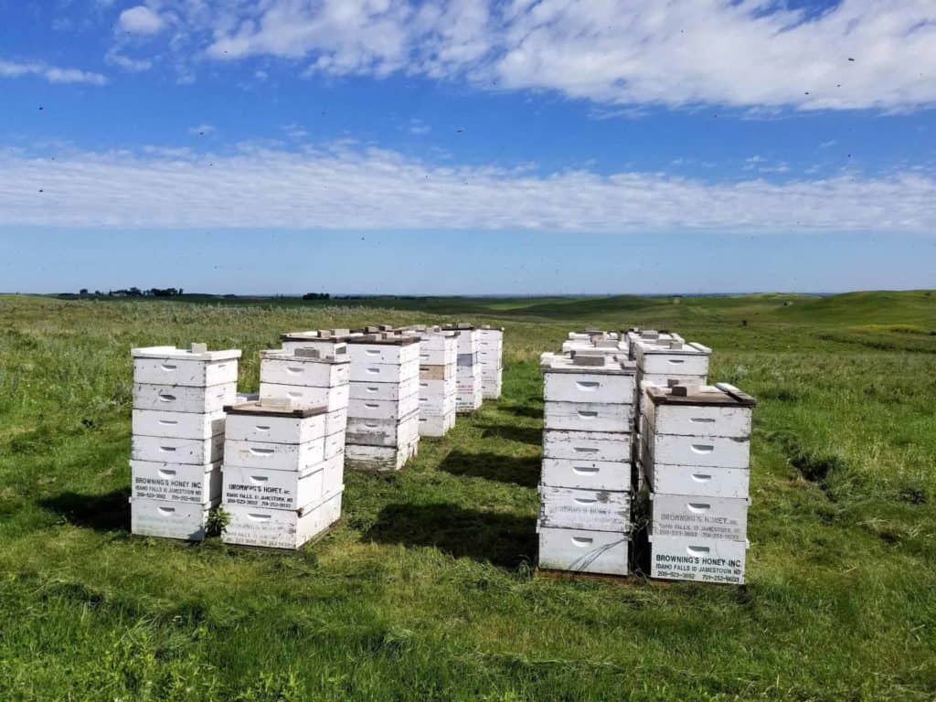 Production Site Browning's Honey