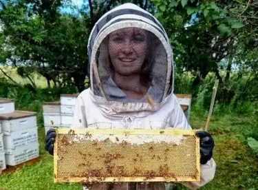 From Skeps to Superstition: Why the Old Beehive Became the Symbol of Honey