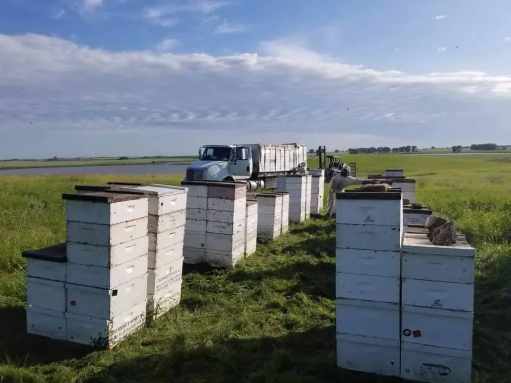 apiary, honey farm usa