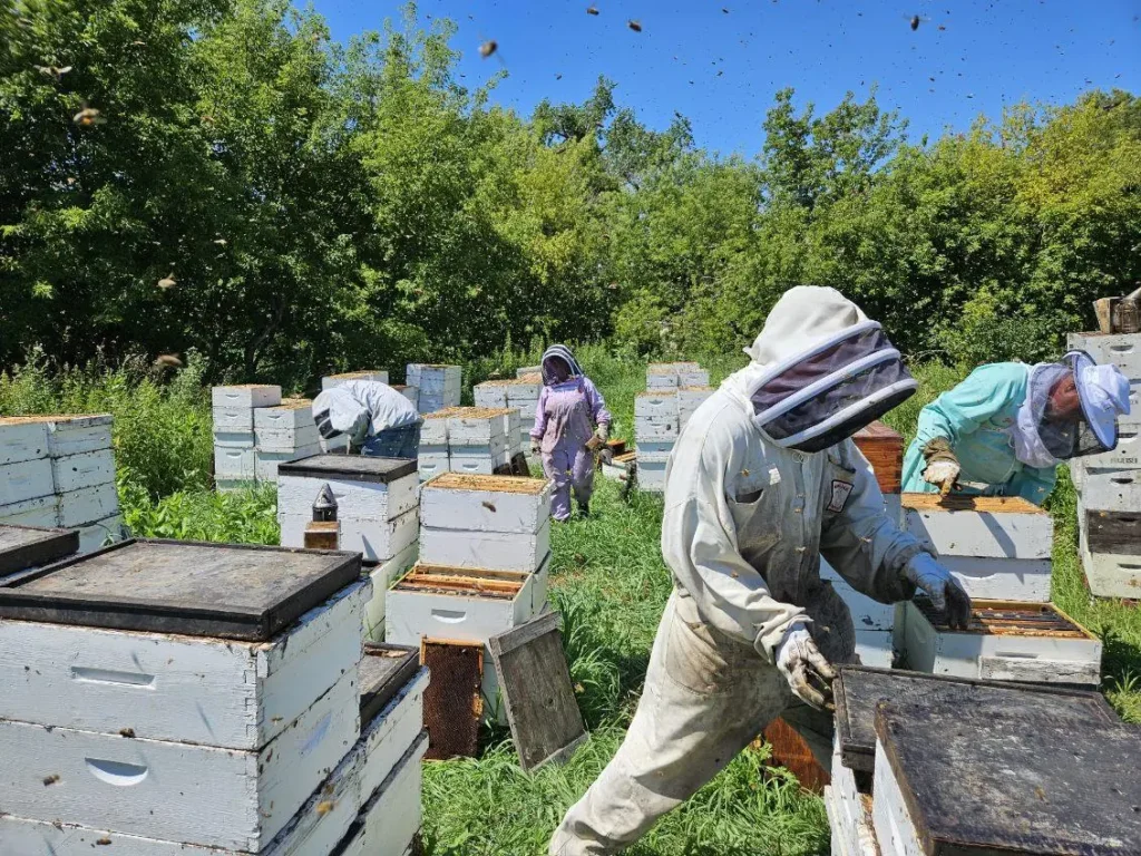 Our Apiary Browning's Honey