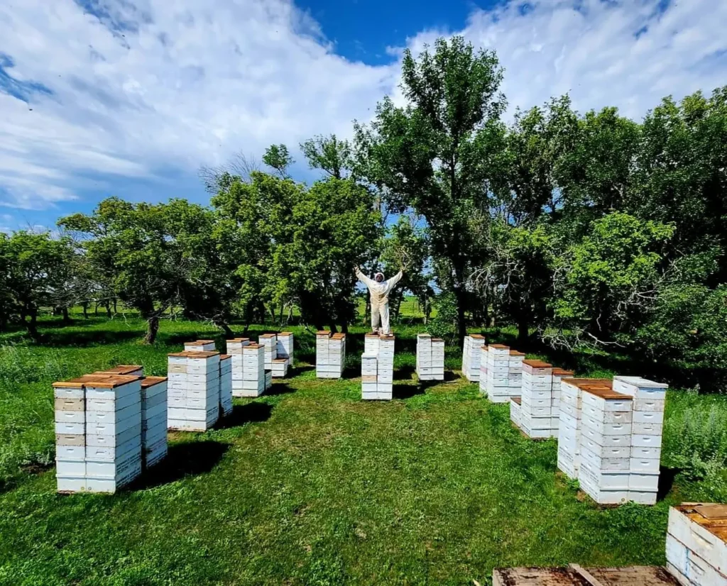 Our Apiary Browning's Honey