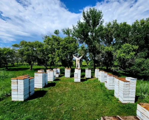 Our Apiary Our Apiary Browning's Honey