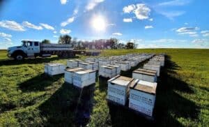 Home Bee Yard Idaho Falls