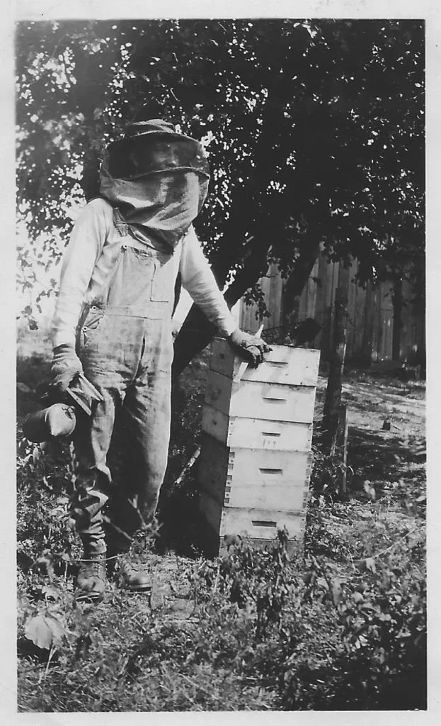 Our Apiary Our Apiary, Honey Farm Browning's Honey