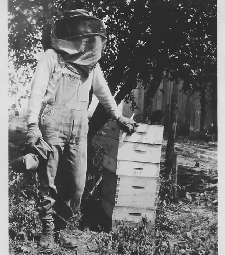 World Honey Bee Day: Celebrating the Bees, Beekeepers & a Tradition Worth Protecting
