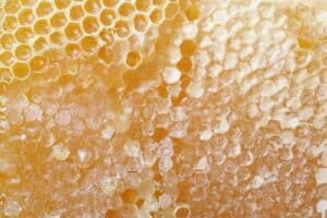 Home Honey Comb USA