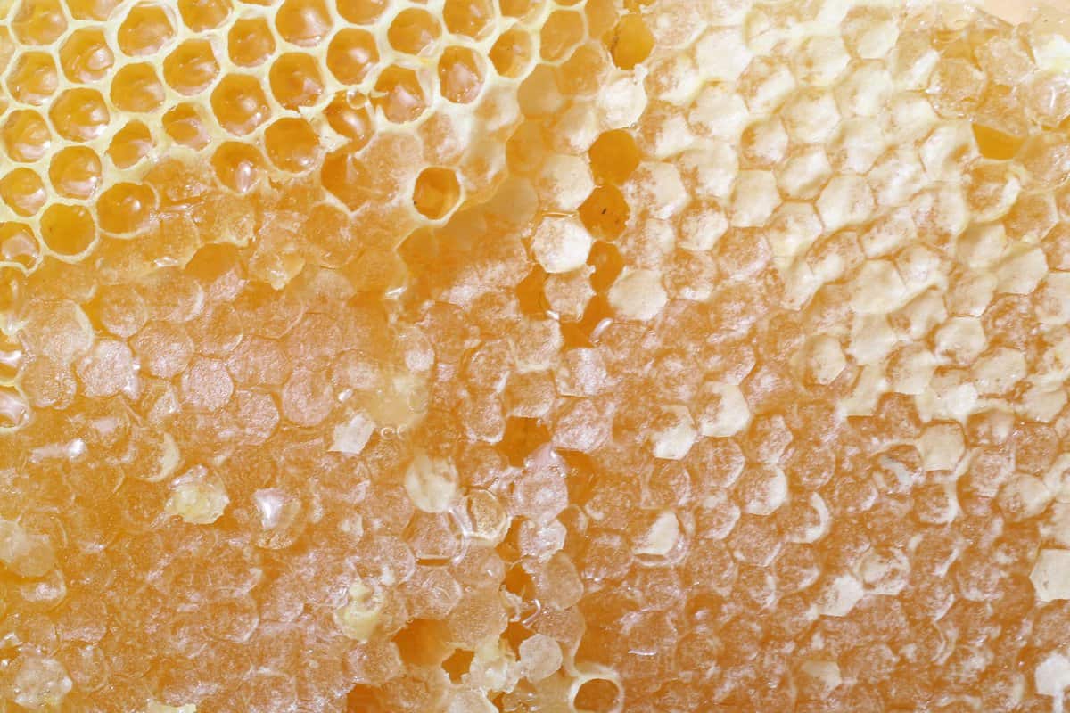 Honey Comb USA