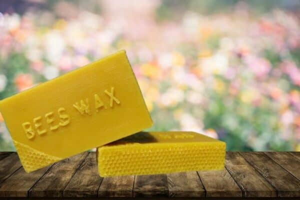 Bees Wax USA